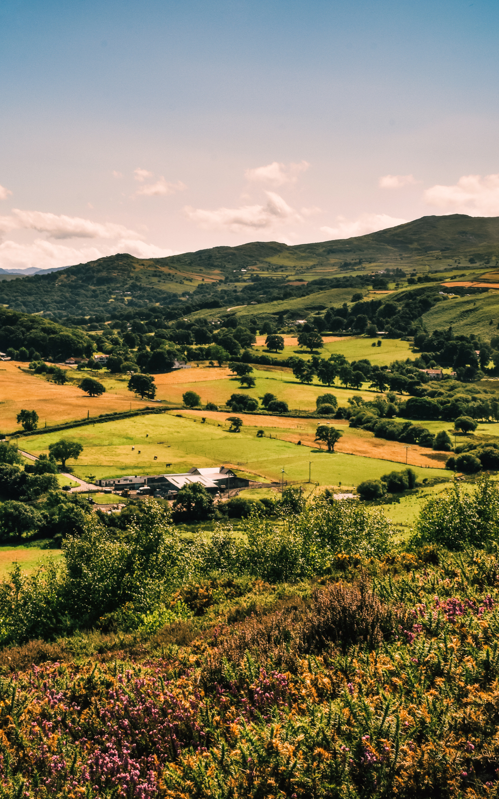 Boundaries between fields