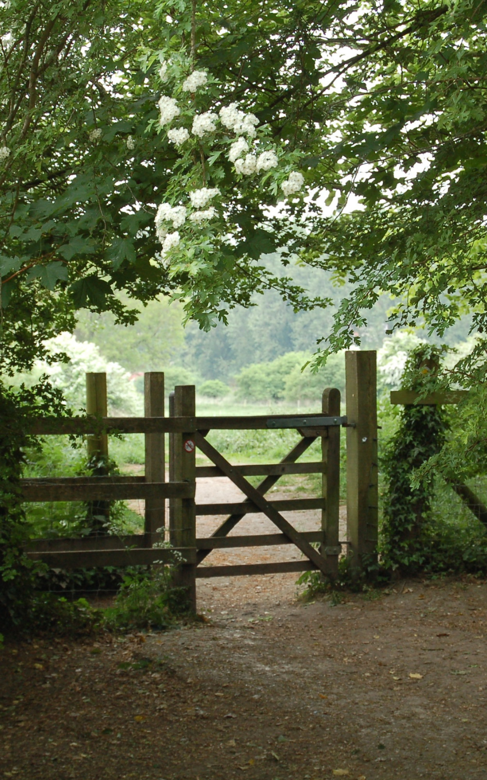 Fence Boundary